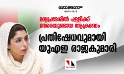മധ്യപ്രദേശില്‍ പള്ളിക്ക് നേരെയുണ്ടായ ആക്രമണം; പ്രതിഷേധവുമായി യുഎഇ രാജകുമാരി