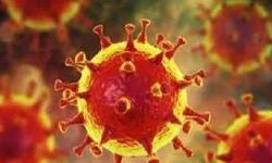 വയനാട് ജില്ലയില്‍ 238 പേര്‍ക്ക് കൂടി കൊവിഡ്; 126 പേര്‍ക്ക് രോഗമുക്തി