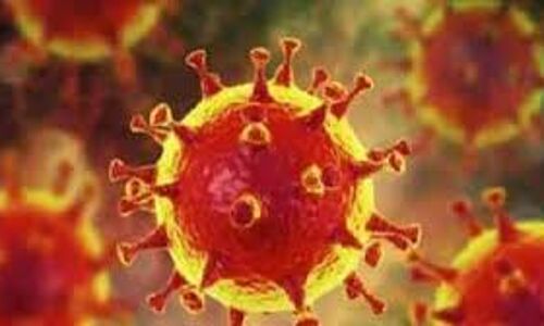 വയനാട് ജില്ലയില് 238 പേര്ക്ക് കൂടി കൊവിഡ്; 126 പേര്ക്ക് രോഗമുക്തി വയനാട് ജില്ലയില് 238 പേര്ക്ക് കൂടി കൊവിഡ്; 126 പേര്ക്ക് രോഗമുക്തി