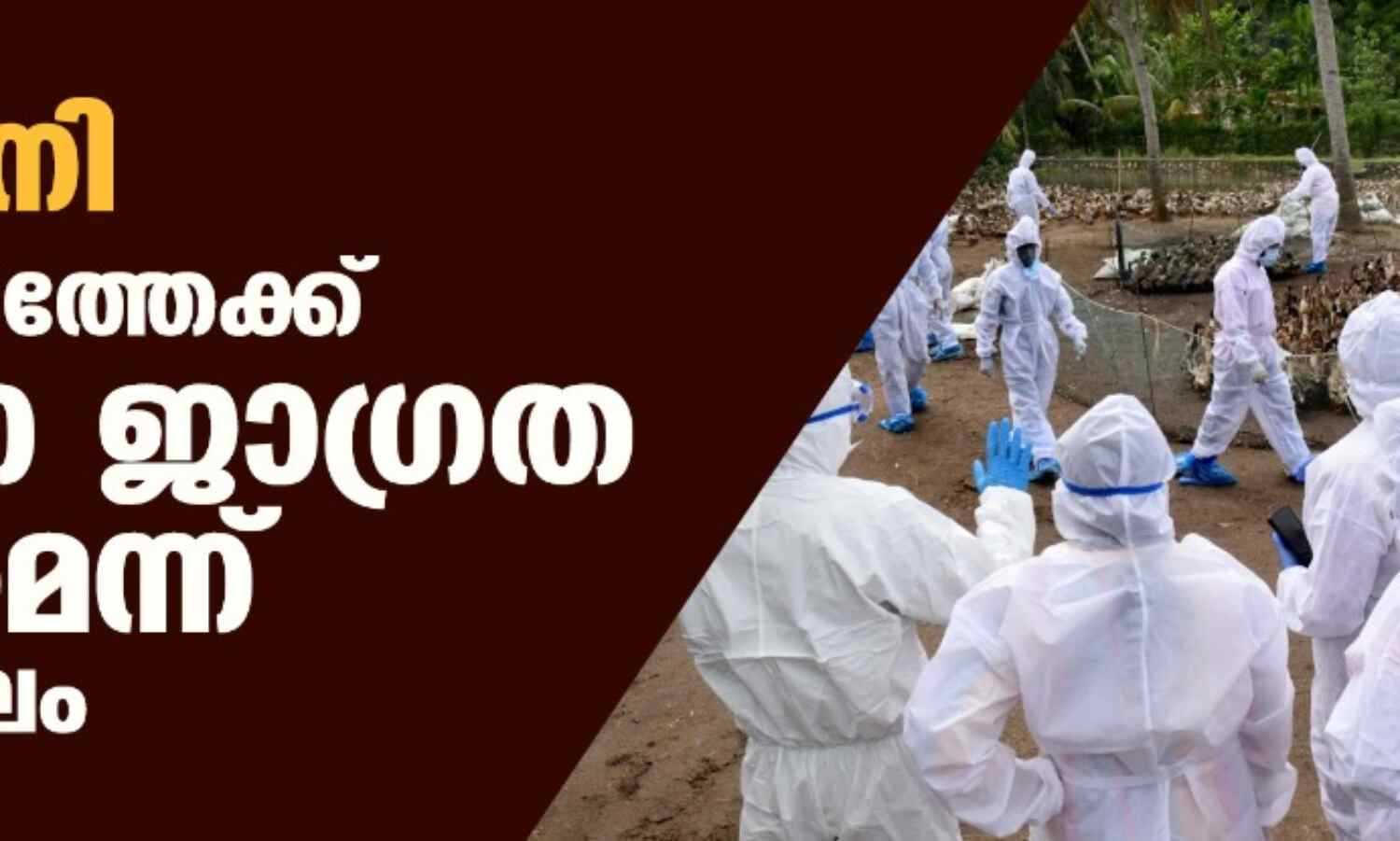 പക്ഷിപ്പനി: മൂന്നു മാസത്തേക്ക് കര്ശന ജാഗ്രത വേണമെന്ന് കേന്ദ്രസംഘം പക്ഷിപ്പനി: മൂന്നു മാസത്തേക്ക് കര്ശന ജാഗ്രത വേണമെന്ന് കേന്ദ്രസംഘം