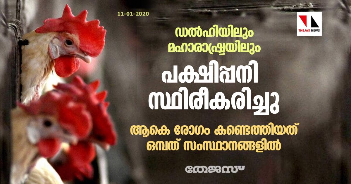 ഡല്‍ഹിയിലും മഹാരാഷ്ട്രയിലും പക്ഷിപ്പനി സ്ഥിരീകരിച്ചു; ആകെ രോഗം കണ്ടെത്തിയത് ഒമ്പത് സംസ്ഥാനങ്ങളില്‍