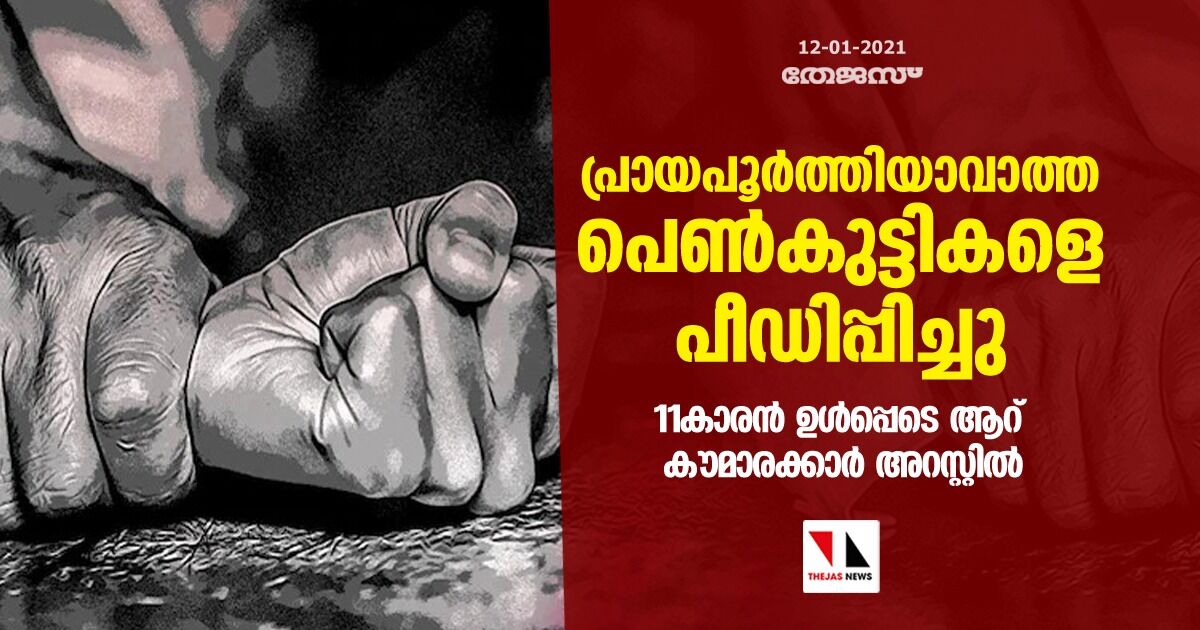 പ്രായപൂര്ത്തിയാവാത്ത പെണ്കുട്ടികളെ പീഡിപ്പിച്ചു; 11കാരന് ഉള്പ്പെടെ ആറ് കൗമാരക്കാര് അറസ്റ്റില് പ്രായപൂര്ത്തിയാവാത്ത പെണ്കുട്ടികളെ പീഡിപ്പിച്ചു; 11കാരന് ഉള്പ്പെടെ ആറ് കൗമാരക്കാര് അറസ്റ്റില്
