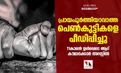 പ്രായപൂര്‍ത്തിയാവാത്ത പെണ്‍കുട്ടികളെ പീഡിപ്പിച്ചു; 11കാരന്‍ ഉള്‍പ്പെടെ ആറ് കൗമാരക്കാര്‍ അറസ്റ്റില്‍