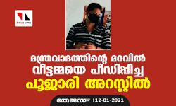 മന്ത്രവാദത്തിന്റെ മറവില്‍ വീട്ടമ്മയെ പീഡിപ്പിച്ച പൂജാരി അറസ്റ്റില്‍