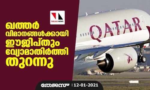ഖത്തര് വിമാനങ്ങള്ക്കായി ഈജിപ്തും വ്യോമാതിര്ത്തി തുറന്നു ഖത്തര് വിമാനങ്ങള്ക്കായി ഈജിപ്തും വ്യോമാതിര്ത്തി തുറന്നു