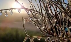 അതിശൈത്യത്തില്‍ അല്‍ഐന്‍