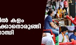 ജല്ലിക്കട്ട്: തമിഴ്‌നാട്ടില്‍ കളം മാറ്റിക്കളിക്കാനൊരുങ്ങി രാഹുല്‍ഗാന്ധി