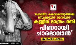 പോലിസ് കൊലപ്പെടുത്തിയ മനുഷ്യരുടെ ഉറ്റവരുടെ കണ്ണീര് മാത്രം മതി പിണറായി ചാരമാവാന്‍