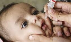 പോളിയോ തുള്ളിമരുന്ന് വിതരണം ജനുവരി 31 ലേക്ക് മാറ്റിവച്ചു