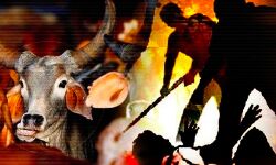 കന്നുകാലികളെ കൊണ്ടുപോവുന്നതിനിടെ മുസ് ലിം ഡ്രൈവറെ ആക്രമിച്ച് കൊള്ളയടിച്ചു; പോലിസിന്റെ വക കേസും