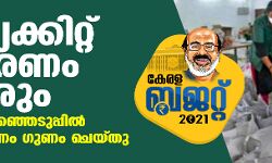 ഭക്ഷ്യക്കിറ്റ് വിതരണം തുടരും;  തദ്ദേശ തിരഞ്ഞെടുപ്പില്‍ കിറ്റ് വിതരണം ഗുണം ചെയ്തു