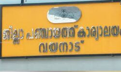 വയനാട് ജില്ലാ പഞ്ചായത്ത് സ്റ്റാന്‍ഡിങ് കമ്മിറ്റി അംഗങ്ങളെ തിരഞ്ഞെടുത്തു