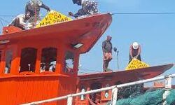 เดเดฐเต เดตเดฐเตโเดทเดคเตเดคเดฟเดจเตเดณเตเดณเดฟเดฒเตโ 18685 เดฎเดคเตเดธเตเดฏเดคเตเดคเตเดดเดฟเดฒเดพเดณเดฟ เดเตเดเตเดเดฌเดเตเดเดณเต เดชเตเดจเดฐเดงเดฟเดตเดธเดฟเดชเตเดชเดฟเดเตเดเตเด: เดซเดฟเดทเดฑเตเดธเต เดฎเดจเตเดคเตเดฐเดฟ เดเดฐเต เดตเดฐเตโเดทเดคเตเดคเดฟเดจเตเดณเตเดณเดฟเดฒเตโ 18685 เดฎเดคเตเดธเตเดฏเดคเตเดคเตเดดเดฟเดฒเดพเดณเดฟ เดเตเดเตเดเดฌเดเตเดเดณเต เดชเตเดจเดฐเดงเดฟเดตเดธเดฟเดชเตเดชเดฟเดเตเดเตเด: เดซเดฟเดทเดฑเตเดธเต เดฎเดจเตเดคเตเดฐเดฟ