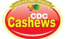 കശുവണ്ടി വികസന കോര്പറേഷന് അഴിമതിക്കേസില് സിബിഐ കുറ്റപത്രം സമര്പ്പിച്ചു കശുവണ്ടി വികസന കോര്പറേഷന് അഴിമതിക്കേസില് സിബിഐ കുറ്റപത്രം സമര്പ്പിച്ചു