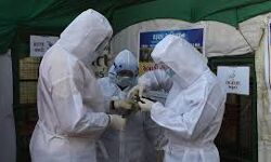 14 เดธเดเดธเตเดฅเดพเดจเดเตเดเดณเดฟเดฒเตโ เดชเดเตเดทเดฟเดชเตเดชเดจเดฟ เดชเดเดฐเตโเดจเตเดจเตเดชเดฟเดเดฟเดเตเดเดคเดพเดฏเดฟ เดธเตเดฅเดฟเดฐเตเดเดฐเดฃเด, เดเตเดจเตเดฆเตเดฐ เดธเดเดเด เดฐเตเดเดฌเดพเดงเดฟเดค เดชเตเดฐเดฆเตเดถเดเตเดเดณเตโ เดธเดจเตเดฆเดฐเตโเดถเดฟเดเตเดเต 14 เดธเดเดธเตเดฅเดพเดจเดเตเดเดณเดฟเดฒเตโ เดชเดเตเดทเดฟเดชเตเดชเดจเดฟ เดชเดเดฐเตโเดจเตเดจเตเดชเดฟเดเดฟเดเตเดเดคเดพเดฏเดฟ เดธเตเดฅเดฟเดฐเตเดเดฐเดฃเด, เดเตเดจเตเดฆเตเดฐ เดธเดเดเด เดฐเตเดเดฌเดพเดงเดฟเดค เดชเตเดฐเดฆเตเดถเดเตเดเดณเตโ เดธเดจเตเดฆเดฐเตโเดถเดฟเดเตเดเต