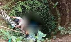 เดตเดฃเตเดเตเดฐเดฟเดฒเตโ เดฏเตเดตเดคเดฟ เดเดฟเดฃเดฑเตเดฑเดฟเดฒเตโ เดฎเดฐเดฟเดเตเด เดจเดฟเดฒเดฏเดฟเดฒเตโ เดตเดฃเตเดเตเดฐเดฟเดฒเตโ เดฏเตเดตเดคเดฟ เดเดฟเดฃเดฑเตเดฑเดฟเดฒเตโ เดฎเดฐเดฟเดเตเด เดจเดฟเดฒเดฏเดฟเดฒเตโ