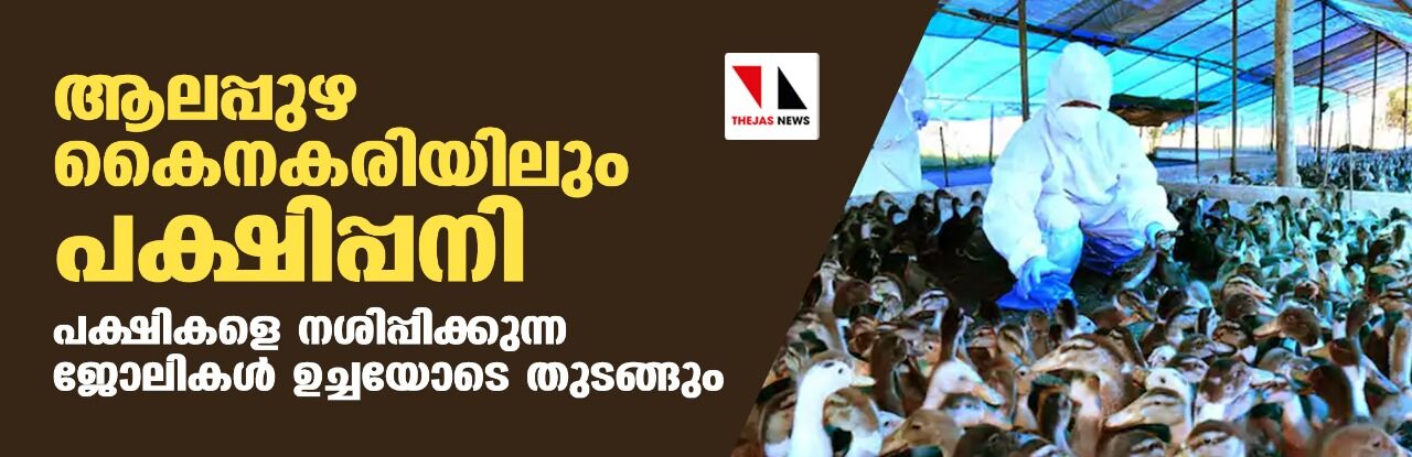 ആലപ്പുഴ കൈനകരിയിലും പക്ഷിപ്പനി ; പക്ഷികളെ ഉച്ചയോടെ നശിപ്പിച്ചു തുടങ്ങും ആലപ്പുഴ കൈനകരിയിലും പക്ഷിപ്പനി ; പക്ഷികളെ ഉച്ചയോടെ നശിപ്പിച്ചു തുടങ്ങും