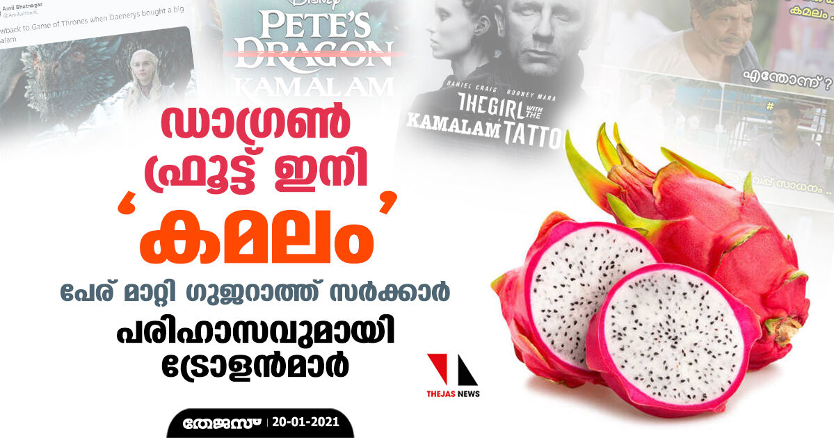 ഡാഗ്രണ് ഫ്രൂട്ട് ഇനി കമലം, പേര് മാറ്റി ഗുജറാത്ത് സര്ക്കാര്; പരിഹാസവുമായി ട്രോളന്മാര് ഡാഗ്രണ് ഫ്രൂട്ട് ഇനി കമലം, പേര് മാറ്റി ഗുജറാത്ത് സര്ക്കാര്; പരിഹാസവുമായി ട്രോളന്മാര്