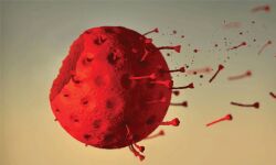 തൃശൂര്‍ ജില്ലയില്‍ 547 പേര്‍ക്ക് കൂടി കൊവിഡ്; 463 പേര്‍ രോഗമുക്തരായി