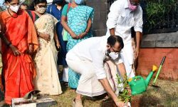 സുഗതകുമാരി ടീച്ചര്‍ക്കായി നിയമസഭ വളപ്പില്‍ ഓര്‍മ്മമരം