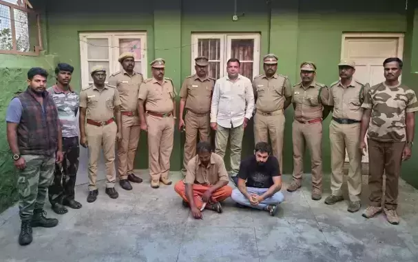 കാട്ടാനയെ തീപന്തമെറിഞ്ഞു പൊള്ളിച്ചു കൊന്ന പ്രതികളെ പിടികൂടി