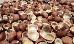 കൊപ്രയുടെ താങ്ങുവില വര്‍ധിപ്പിച്ചു; ക്വിന്റലിന് 375 രൂപ