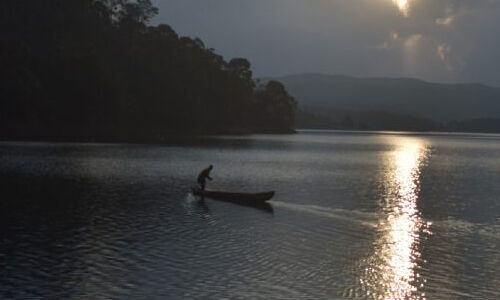 ഇടുക്കി: ഉള്നാടന് മല്സ്യമേഖലയിലെ നശീകരണ മല്സ്യബന്ധന മാര്ഗങ്ങള് കണ്ടെത്താന് വാട്ടര് പട്രോളിങ് ശക്തമാക്കുന്നു ഇടുക്കി: ഉള്നാടന് മല്സ്യമേഖലയിലെ നശീകരണ മല്സ്യബന്ധന മാര്ഗങ്ങള് കണ്ടെത്താന് വാട്ടര് പട്രോളിങ് ശക്തമാക്കുന്നു