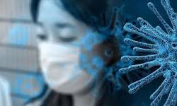 കൊവിഡ് 19: മലപ്പുറം ജില്ലയില്‍ 799 പേര്‍ക്ക് രോഗമുക്തി; രോഗം ബാധിച്ചത് 414 പേര്‍ക്ക്