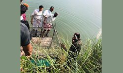 ചാലിയാറില്‍ നീര്‍നായശല്യം: നടപടിയുമായി കീഴുപറമ്പ് ഗ്രാമപഞ്ചായത്തും വനംവകുപ്പും