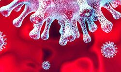 കുവൈത്തില്‍ കൊവിഡ് ബാധിച്ചത് 658 പേര്‍ക്ക്