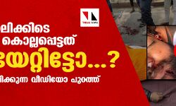 ട്രാക്റ്റര്‍ റാലിക്കിടെ കര്‍ഷകന്‍ കൊല്ലപ്പെട്ടത് വെടിയേറ്റിട്ടോ...?; സംശയം വര്‍ധിപ്പിക്കുന്ന വീഡിയോ പുറത്ത്