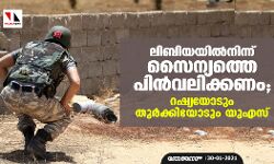 ലിബിയയില്നിന്ന് സൈന്യത്തെ പിന്വലിക്കണം; റഷ്യയോടും തുര്ക്കിയോടും യുഎസ് ലിബിയയില്നിന്ന് സൈന്യത്തെ പിന്വലിക്കണം; റഷ്യയോടും തുര്ക്കിയോടും യുഎസ്