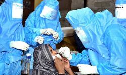 കൊവിഡ് 19: മലപ്പുറം ജില്ലയില് 423 പേര്ക്ക് രോഗബാധ; 422 പേര്ക്ക് രോഗമുക്തി; നേരിട്ടുള്ള സമ്പര്ക്കത്തിലൂടെ 400 പേര്ക്ക് വൈറസ്ബാധ കൊവിഡ് 19: മലപ്പുറം ജില്ലയില് 423 പേര്ക്ക് രോഗബാധ; 422 പേര്ക്ക് രോഗമുക്തി; നേരിട്ടുള്ള സമ്പര്ക്കത്തിലൂടെ 400 പേര്ക്ക് വൈറസ്ബാധ