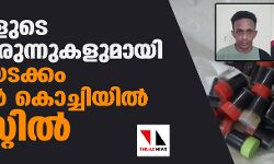 ലക്ഷങ്ങളുടെ മയക്കുമരുന്നുകളുമായി യുവതിയടക്കം മൂന്ന് പേര്‍ കൊച്ചിയില്‍ അറസ്റ്റില്‍