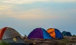 വയനാട്ടില്‍ വിനോദ സഞ്ചാര മേഖലയിലെ ടെന്റുകള്‍ക്ക് നിയന്ത്രണം വരുത്താന്‍ തീരുമാനം