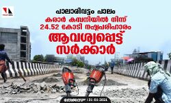 പാലാരിവട്ടം പാലം; കരാര്‍ കമ്പനിയില്‍ നിന്ന് 24.52 കോടി നഷ്ടപരിഹാരം ആവശ്യപ്പെട്ട് സര്‍ക്കാര്‍