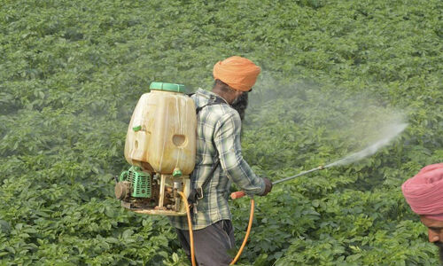 കേന്ദ്ര ബജറ്റ് 2021: തിരഞ്ഞെടുത്ത കാര്‍ഷിക ഉല്‍പ്പന്നങ്ങളില്‍ സെസ് ഏര്‍പ്പെടുത്തുന്നു