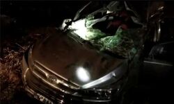 മഹാരാഷ്ട്രയില്‍ കാറുകള്‍ കൂട്ടിയിടിച്ച് മൂന്ന് മരണം; എട്ടുപേര്‍ക്ക് പരിക്ക്