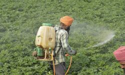 കേന്ദ്ര ബജറ്റ് 2021: തിരഞ്ഞെടുത്ത കാര്‍ഷിക ഉല്‍പ്പന്നങ്ങളില്‍ സെസ് ഏര്‍പ്പെടുത്തുന്നു