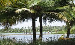 തൊഴിലുറപ്പ് തൊഴിലാളികള്‍ക്ക് ക്ഷേമനിധി രൂപീകരിക്കാന്‍ ഓര്‍ഡിനന്‍സ്