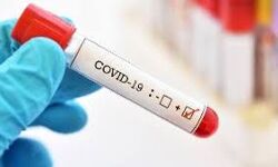 തൃശ്ശൂര്‍ ജില്ലയില്‍ 479 പേര്‍ക്ക് കൂടി കൊവിഡ്, 559 പേര്‍ രോഗമുക്തരായി