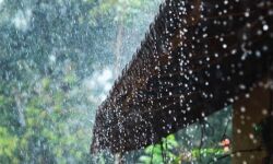 ഇത്തവണ മഴക്കാല പൂര്‍വ ശുചീകരണ പ്രവര്‍ത്തനങ്ങള്‍ കൂടുതല്‍ വിപുലം: 15ന് ആരംഭിക്കും