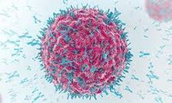 കൊവിഡ് 19: മലപ്പുറം ജില്ലയില്‍ 724 പേര്‍ക്ക് രോഗമുക്തി; 489 പേര്‍ക്ക് രോഗബാധ