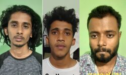 മാരക ലഹരിമരുന്നായ എല്‍എസ്ഡി സ്റ്റാമ്പുകളും കഞ്ചാവുമായി മൂന്നു യുവാക്കള്‍ അറസ്റ്റില്‍