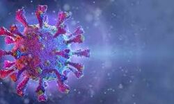 വയനാട് ജില്ലയില്‍ 163 പേര്‍ക്ക് കൂടി കൊവിഡ്; 354 പേര്‍ക്ക് രോഗമുക്തി