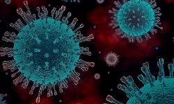 കൊവിഡ്: മലപ്പുറം ജില്ലയില് 571 പേര്ക്ക് രോഗമുക്തി; 652 പേര്ക്ക് രോഗബാധ കൊവിഡ്: മലപ്പുറം ജില്ലയില് 571 പേര്ക്ക് രോഗമുക്തി; 652 പേര്ക്ക് രോഗബാധ