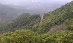 പരിസ്ഥിതി ലോല പ്രദേശം; വിജ്ഞാപനത്തിനെതിരേ പ്രമേയം പാസാക്കി വയനാട് ജില്ലാ പഞ്ചായത്ത്