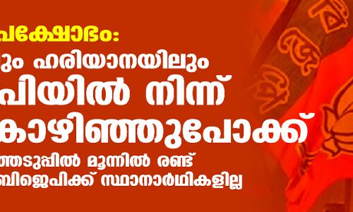 കർഷക പ്രക്ഷോഭം: പഞ്ചാബിലും ഹരിയാനയിലും ബിജെപിയിൽ നിന്ന് വൻ കൊഴിഞ്ഞുപോക്ക് കർഷക പ്രക്ഷോഭം: പഞ്ചാബിലും ഹരിയാനയിലും ബിജെപിയിൽ നിന്ന് വൻ കൊഴിഞ്ഞുപോക്ക്