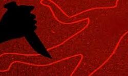 പാലക്കാട്ടെ ആറുവയസ്സുകാരന്റെ കൊലപാതകം: കത്തിവാങ്ങിപ്പിച്ചത് ഭര്‍ത്താവിനെക്കൊണ്ട്; അന്വോഷണം ഊര്‍ജിതമാക്കി പോലിസ്