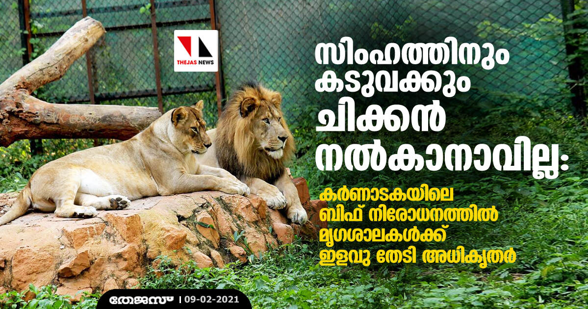 സിംഹത്തിനും കടുവക്കും ചിക്കന് നല്കാനാവില്ല: കര്ണാടകയിലെ ബിഫ് നിരോധനത്തില് മൃഗശാലകള്ക്ക് ഇളവു തേടി അധികൃതര് സിംഹത്തിനും കടുവക്കും ചിക്കന് നല്കാനാവില്ല: കര്ണാടകയിലെ ബിഫ് നിരോധനത്തില് മൃഗശാലകള്ക്ക് ഇളവു തേടി അധികൃതര്